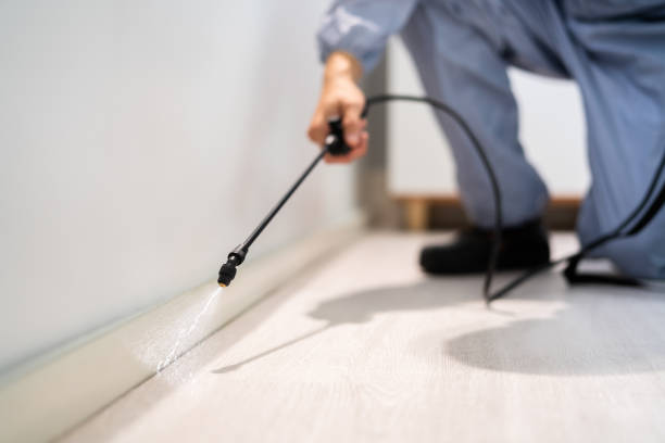 Licensed Rodent Control service in Sac County County, IA - Nex Pest Control
